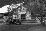 The Barn at Freewood Farms
